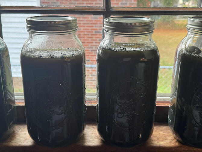 Solar Natural Dyeing