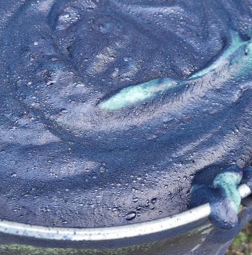 Indigo Vat Showing a Large Flower Bloom